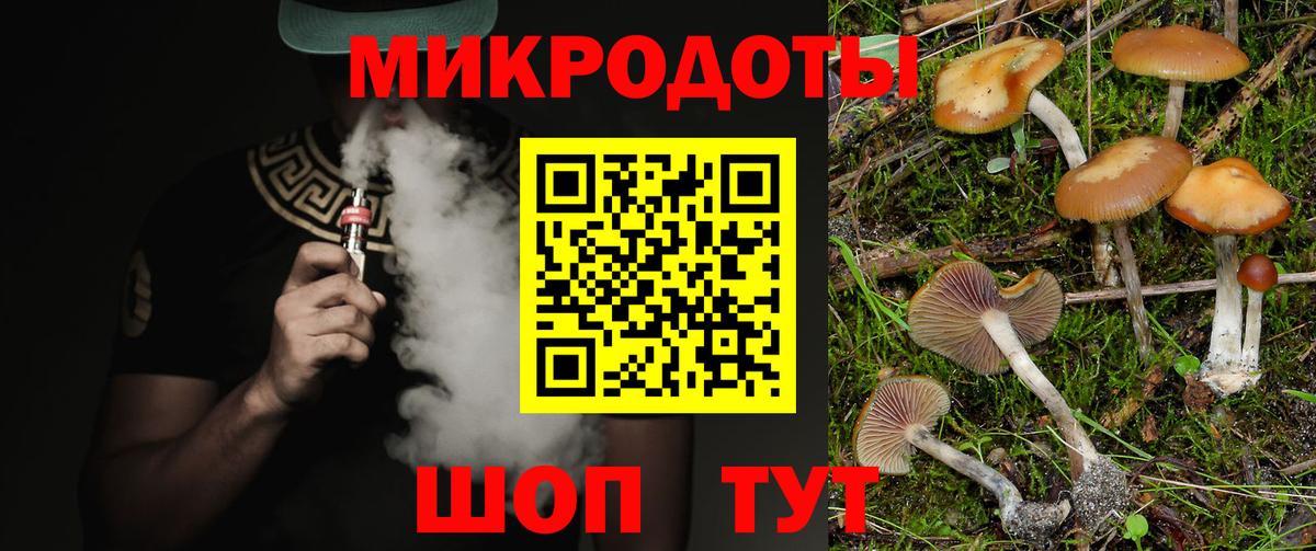 Псилоцибиновые грибы Cubensis Северобайкальск