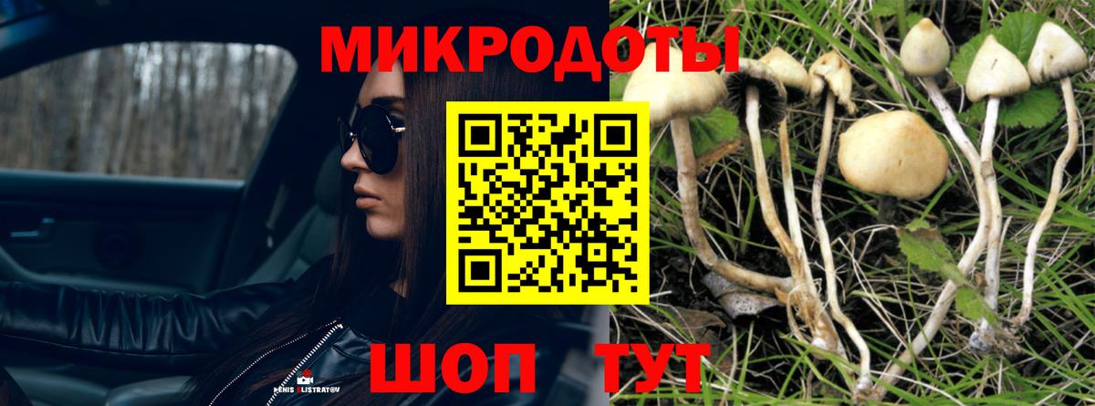 Галлюциногенные грибы Psilocybine cubensis  Вход с VPN  Галлюциногенные грибы MAGIC MUSHROOMS  Северобайкальск 